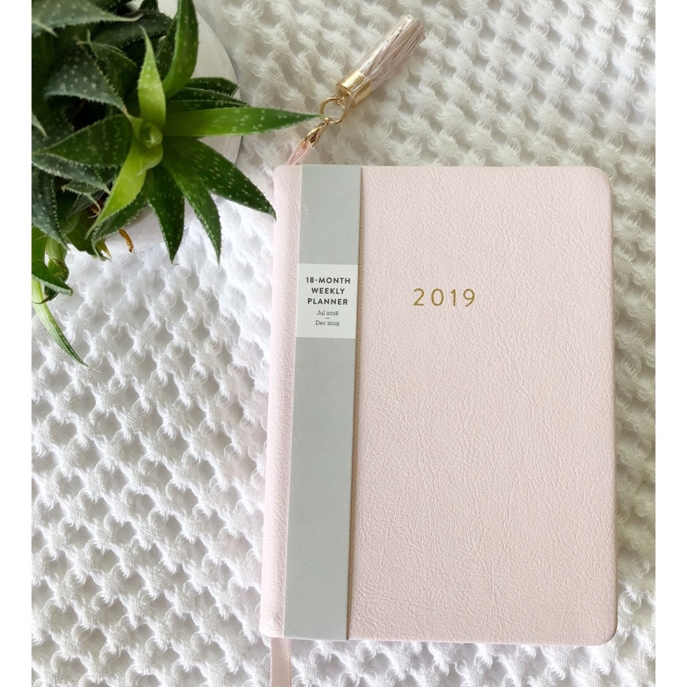 Baby Pink 2018-2019 Pocket Planner